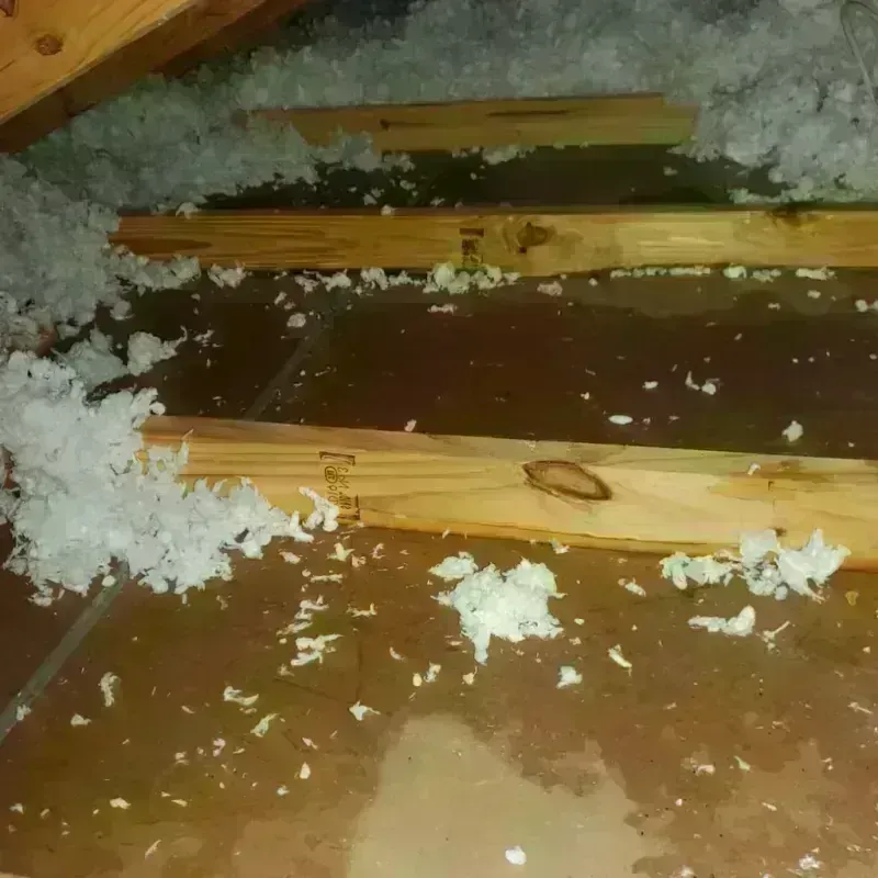 Attic Water Damage in Como, WI