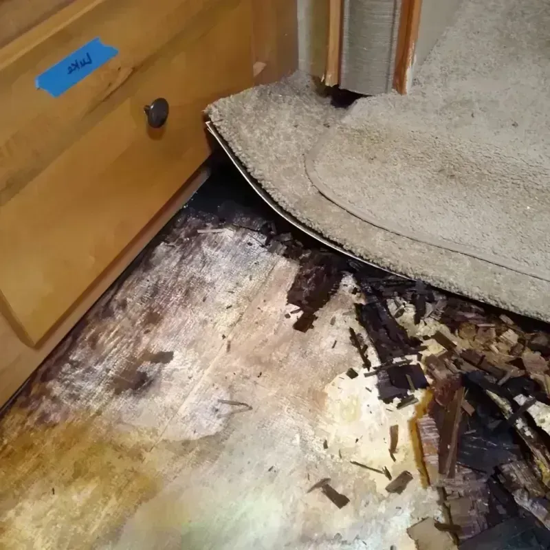 Wood Floor Water Damage in Como, WI